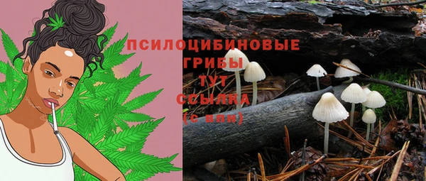 прущие крисы Алексеевка