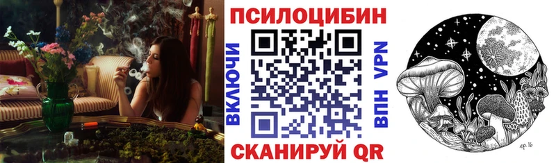 MEGA вход  Берёзовка  Галлюциногенные грибы мицелий  как найти наркотики 