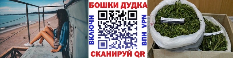 Бошки Шишки сатива Берёзовка